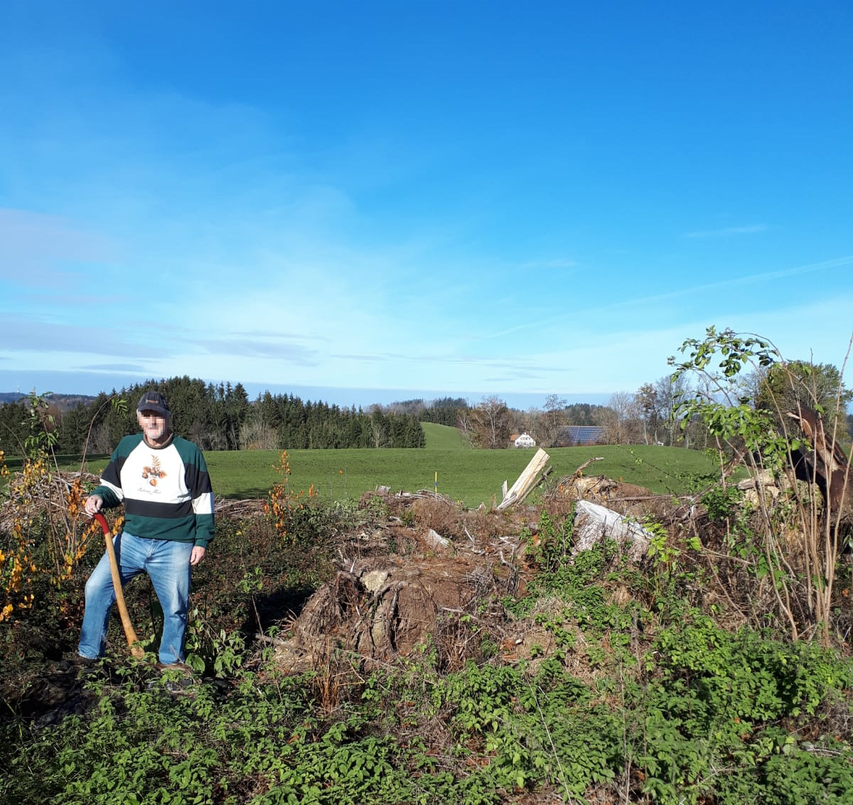 Planting trees in Niemandsfreund